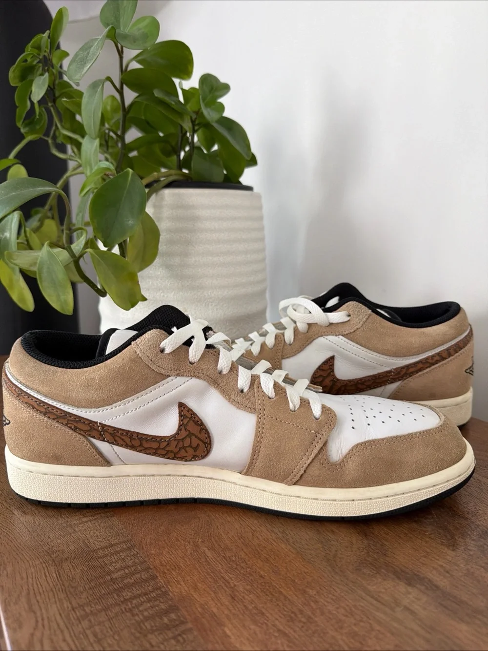 Jordan low top